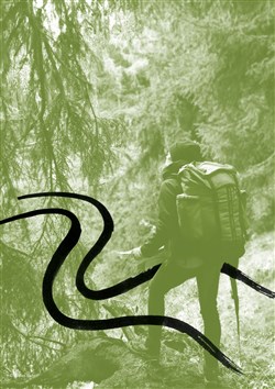 Affiche de Poursuite