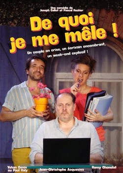 Affiche de De quoi je me mêle ?
