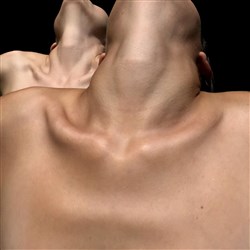 Affiche de Vaca | Festival Immersion Danse