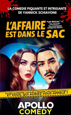 Affiche de L'affaire est dans le sac