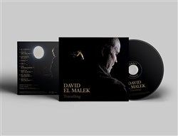 Affiche de David El Malek : Travelling