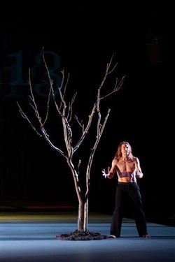 Affiche de The Tree (Fragments of poetics on fire)
