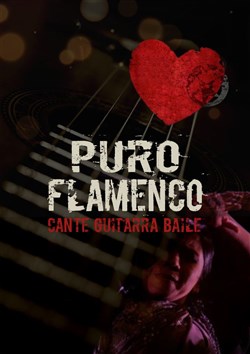 Affiche de Puro Flamenco
