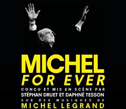 Affiche de Michel for ever