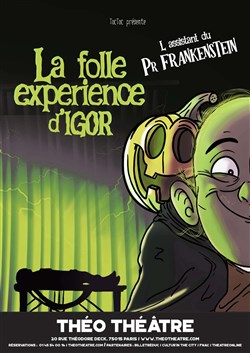 Affiche de La folle expérience d'Igor