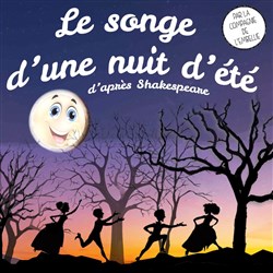 Affiche de Le songe d'une nuit d'été