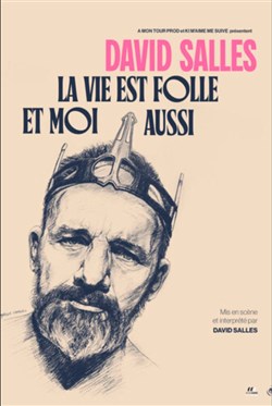 Affiche de David Salles dans La vie est folle et moi aussi