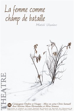 Affiche de La femme comme champ de bataille
