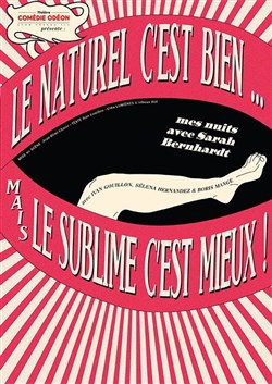 Affiche de Le naturel c'est bien... Mais le sublime c'est mieux !