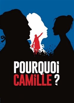 Affiche de Pourquoi Camille ?