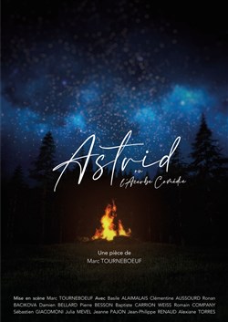 Affiche de Astrid ou l'acerbe comédie