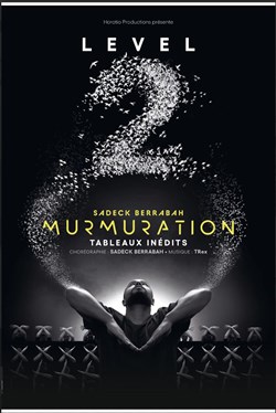 Affiche de Murmuration Level 2