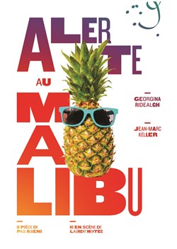 Affiche de Alerte au Malibu