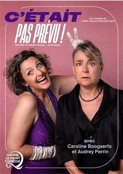 Affiche de C'était pas prévu !
