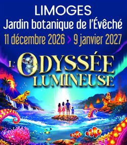 Affiche de L'Odyssée Lumineuse