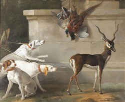 Affiche de Visite guidée : Exposition Les animaux du roi | par Loetitia Mathou