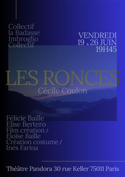 Affiche de Les ronces