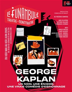 Affiche de George Kaplan
