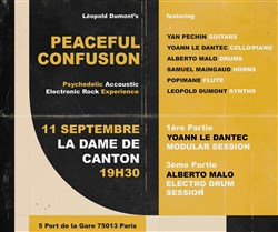 Affiche de Peaceful Confusion