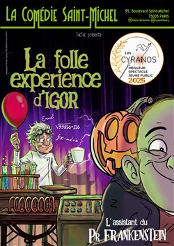 Affiche de La folle expérience d'Igor