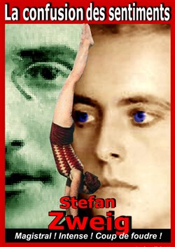 Affiche de La confusion des sentiments