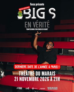 Affiche de Big S dans En vérité, confessions d'un croco en sucre