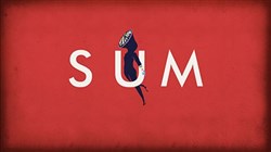 Affiche de Steve Belvilus | Sum