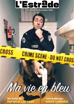 Affiche de Brice Larrieu dans Ma vie en bleu