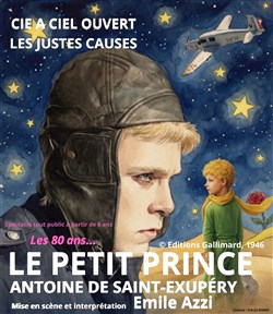Affiche de Le Petit Prince
