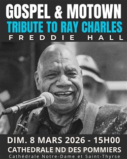 Affiche de Freddie Hall - Tribute to Ray Charles - Soul - Gospel
