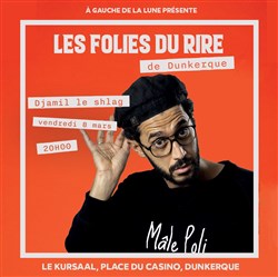 Affiche de Djamil Le Shlag