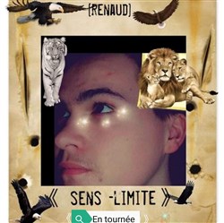 Affiche de Renaud dans Sens-Limite