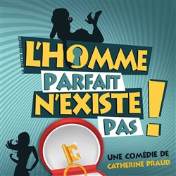 Affiche de L'homme parfait n'existe pas