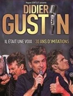 Affiche de Didier Gustin dans Il était une voix