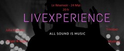 Affiche de Concert folk rock découverte d'artistes