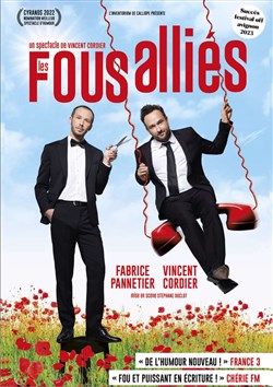 Affiche de Les Fous Alliés
