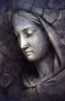 Affiche de La femme de Leto