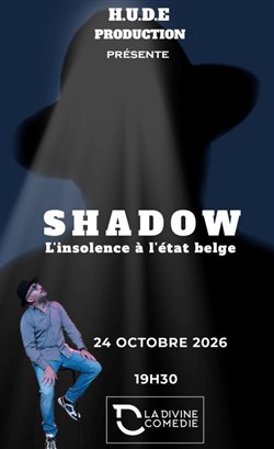 Affiche de L'insolence à l'état belge