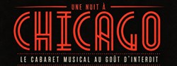 Affiche de Une nuit à Chicago