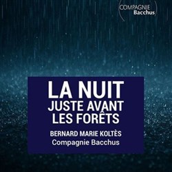 Affiche de La nuit juste avant les forêts