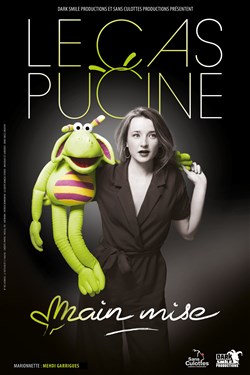 Affiche de Le Cas Pucine dans Main mise