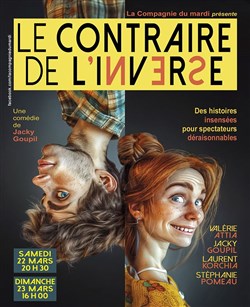 Affiche de Le Contraire de l'Inverse