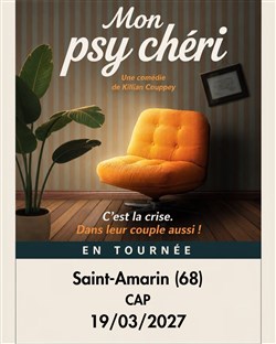Affiche de Mon psy chéri