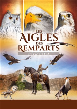 Affiche de Les Aigles des Remparts