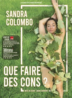 Affiche de Que faire des cons ?