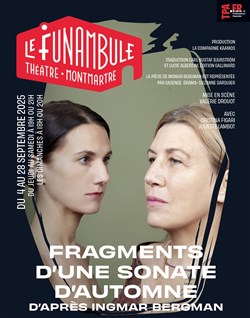 Affiche de Fragments d'une sonate d'automne