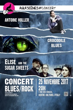 Affiche de Concert Blues rock | par Les Agla'Scènes