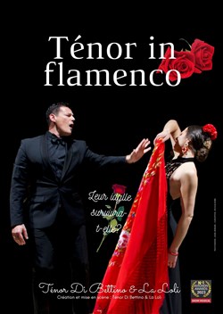 Affiche de Ténor in flamenco