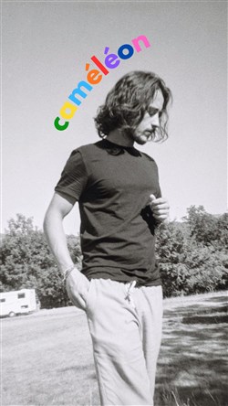 Affiche de Raphaël Cohen dans Caméléon