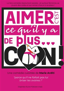 Affiche de Aimer c'est qu'il y a de plus... con !